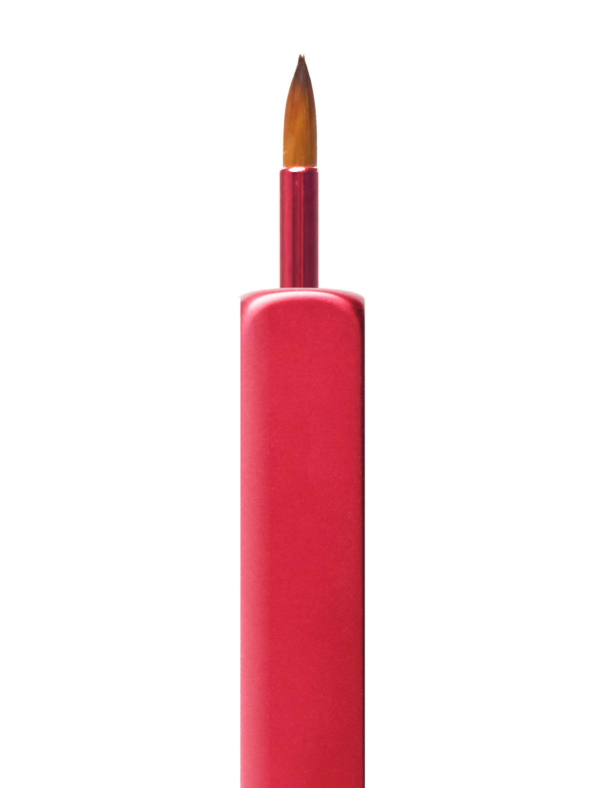 Lip Brushes